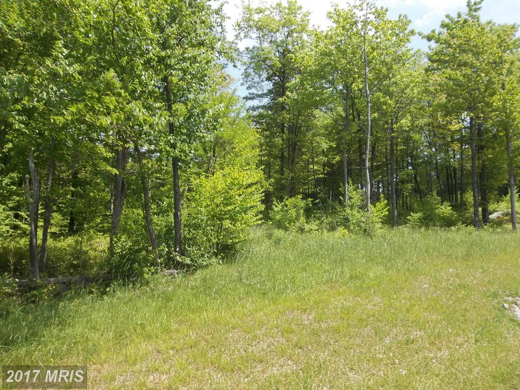 Greenbrier Drive - Photo 1