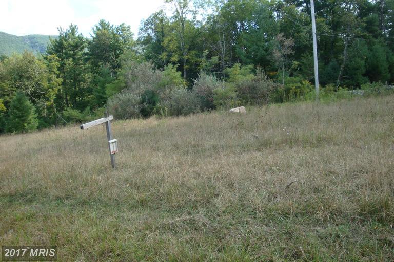 5 Trout Run Forest - Photo 1