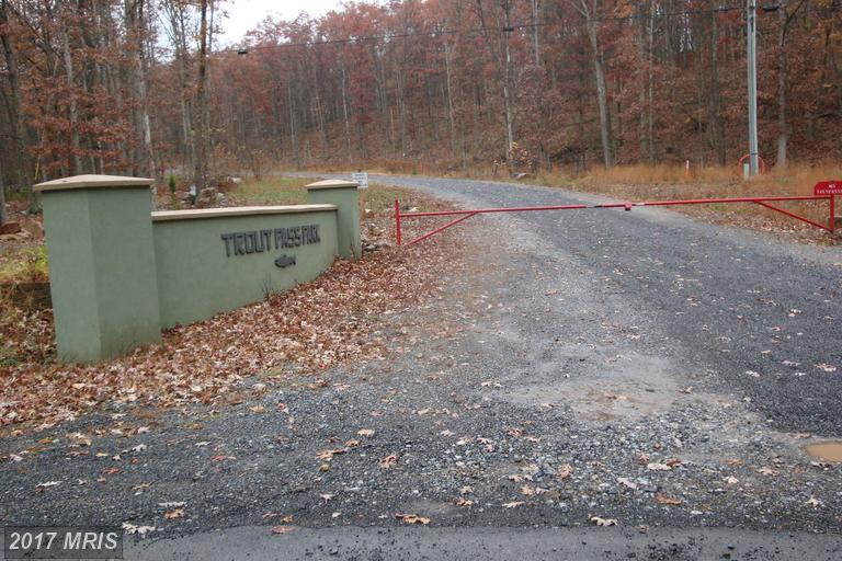 4 Trout Pass Road - Photo 1