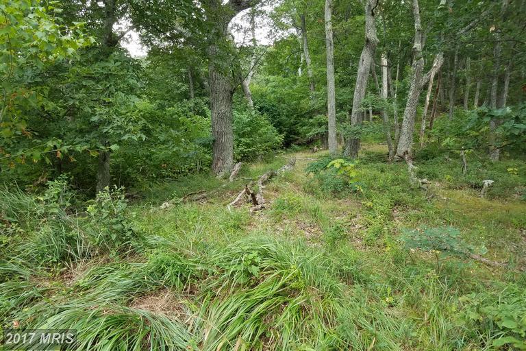 350 Nathaniel Mtn Road - Photo 1