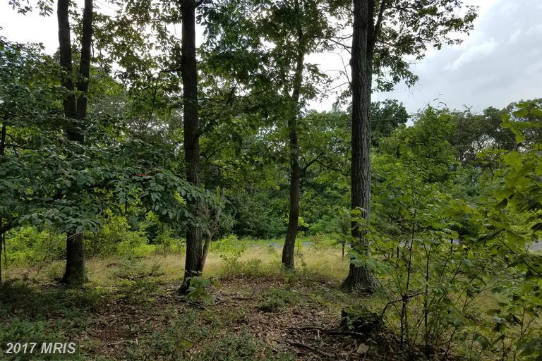 346 Nathaniel Mountain Road - Photo 1