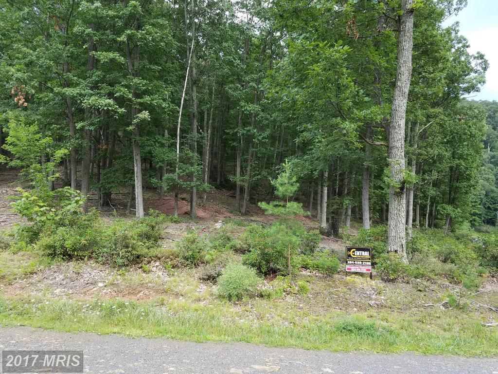 263 Nathaniel Mountain Road - Photo 1