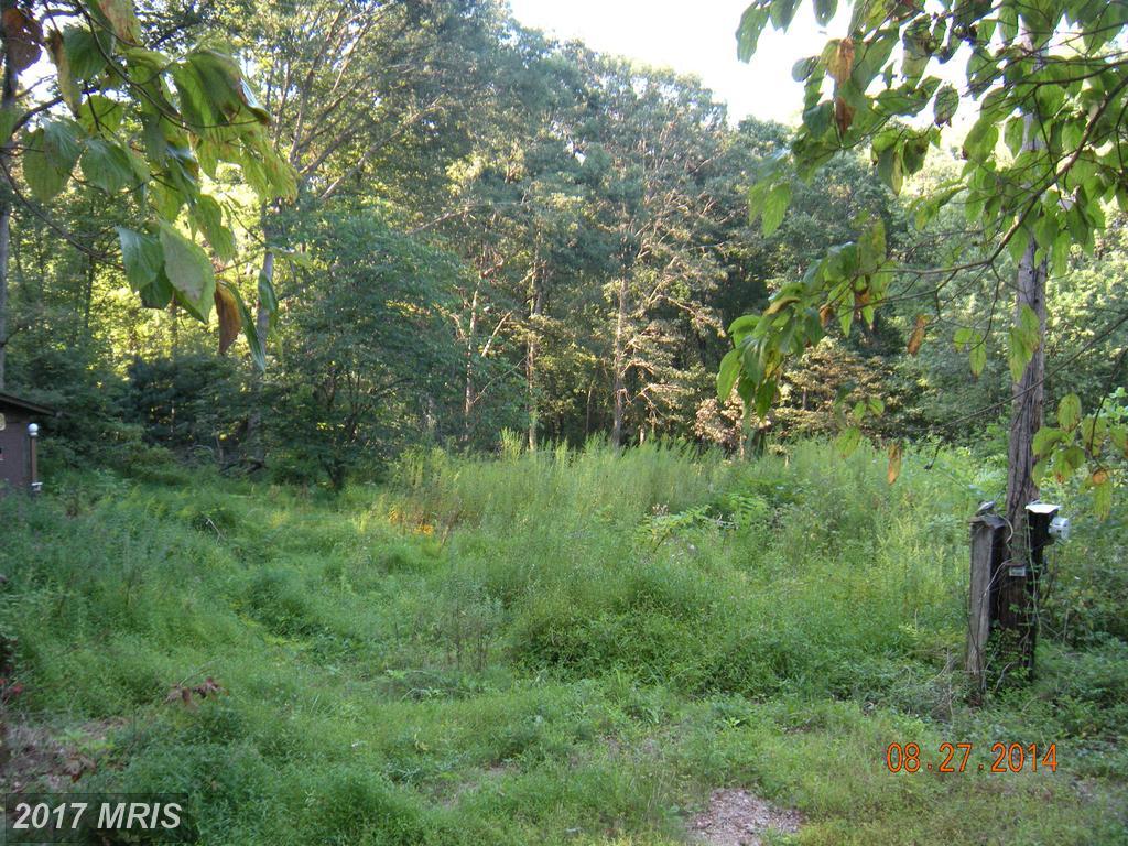 4016 Old Rocks Road - Photo 1