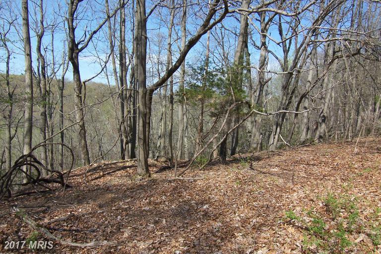 4278 Cooper Road - Photo 1