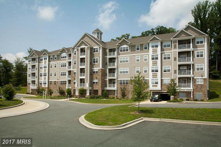 900 Macphail Woods Crossing - Photo 1