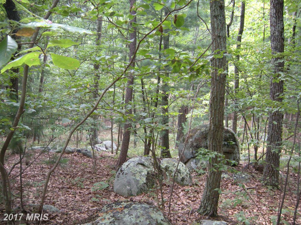 7-LOT # Mountain View Drive - Photo 1