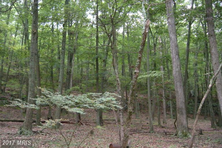 15-LOT # Hoover Young Drive - Photo 1
