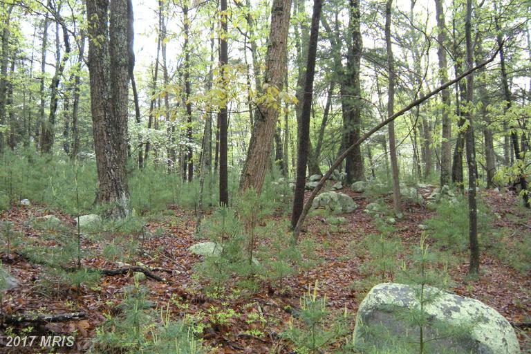 17-LOT Lupton Drive - Photo 1