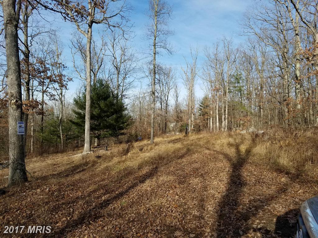 LOT 14 Olympic Drive - Photo 1