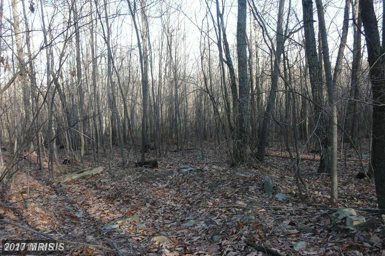 LOT D Chestnut Drive - Photo 1