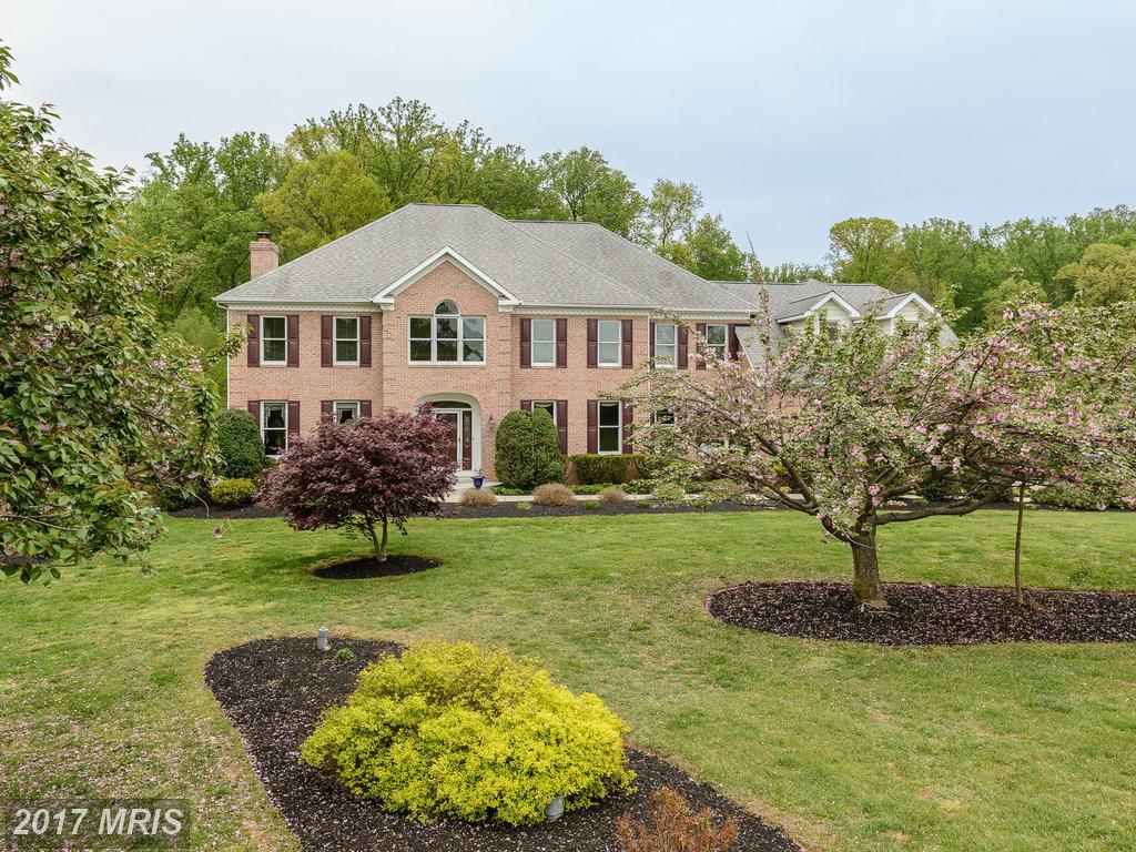 13111 Isle Of Mann Way - Photo 1