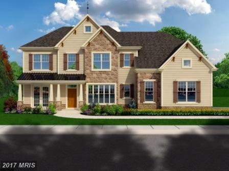 12510 Triadelphia Road - Photo 1