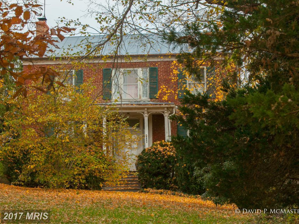 4115 Charles Town Road - Photo 1