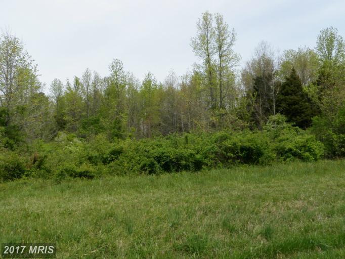 Cloquet Road - Photo 1