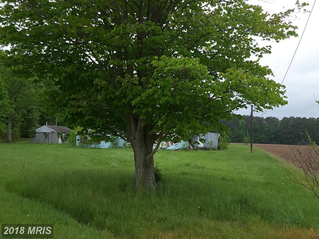 5602 Edesville Road - Photo 1