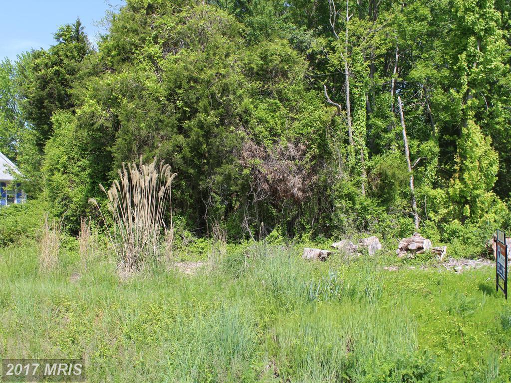Morgnec Road - Photo 1
