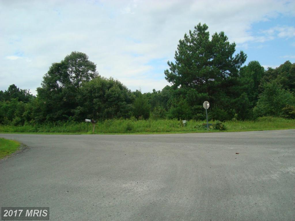 Belmont Lane - Photo 1