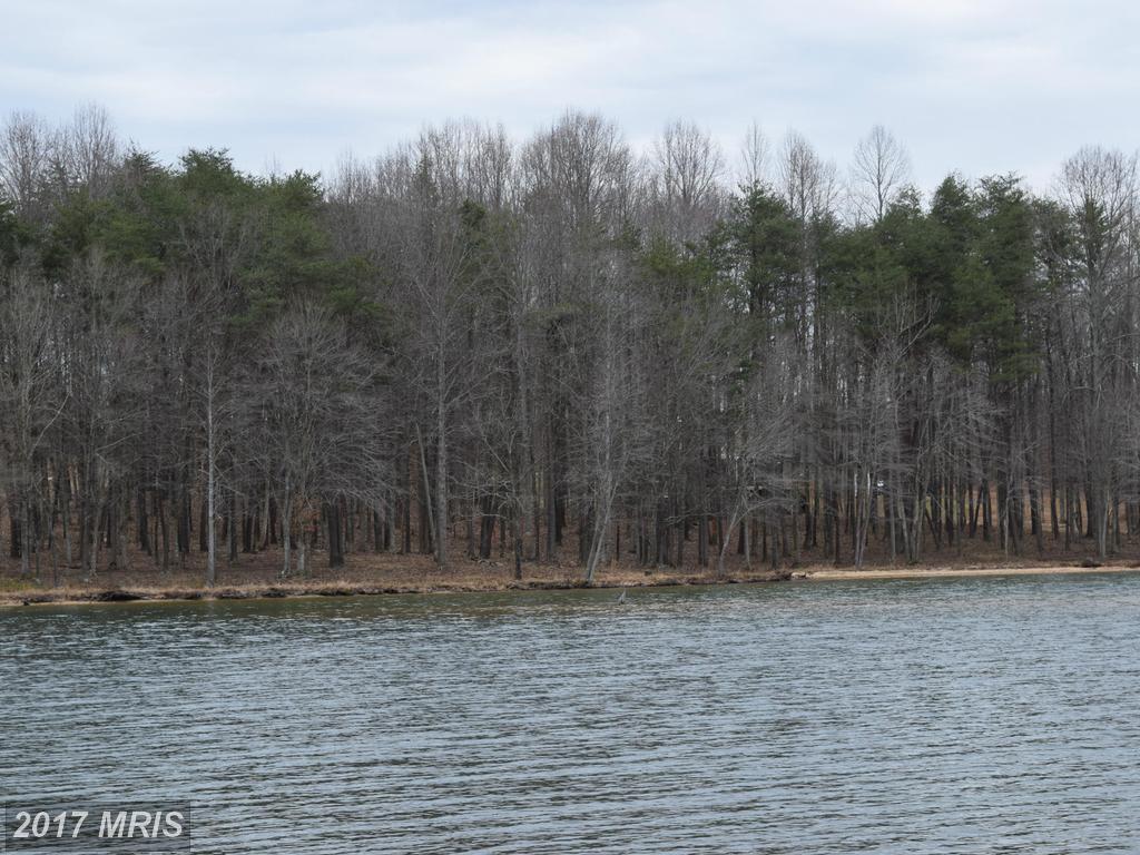 98 SMITTY Circle - Photo 1