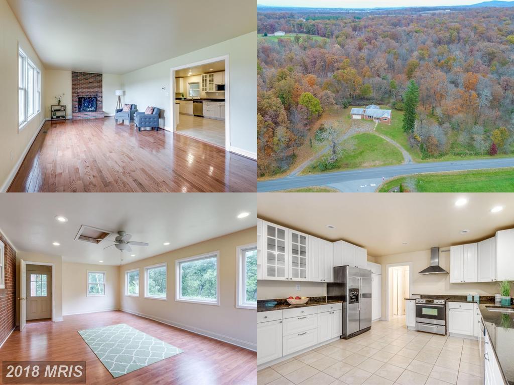 43160 Evans Pond Road - Photo 1