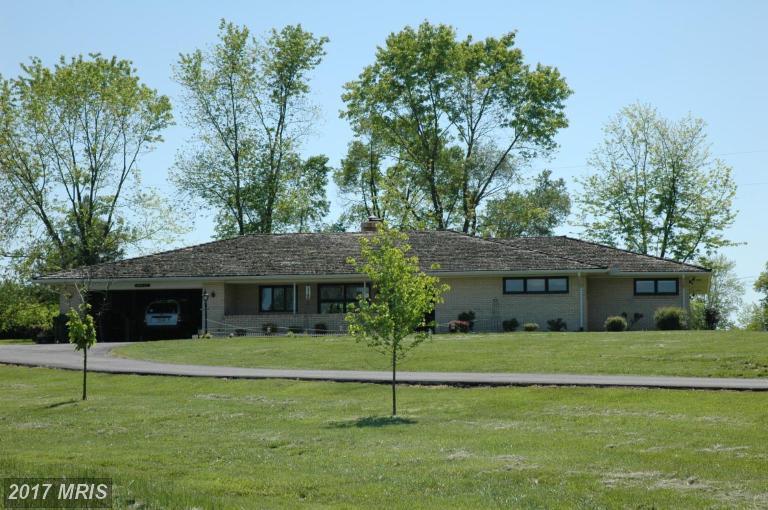 24389 Evergreen Mills Road - Photo 1