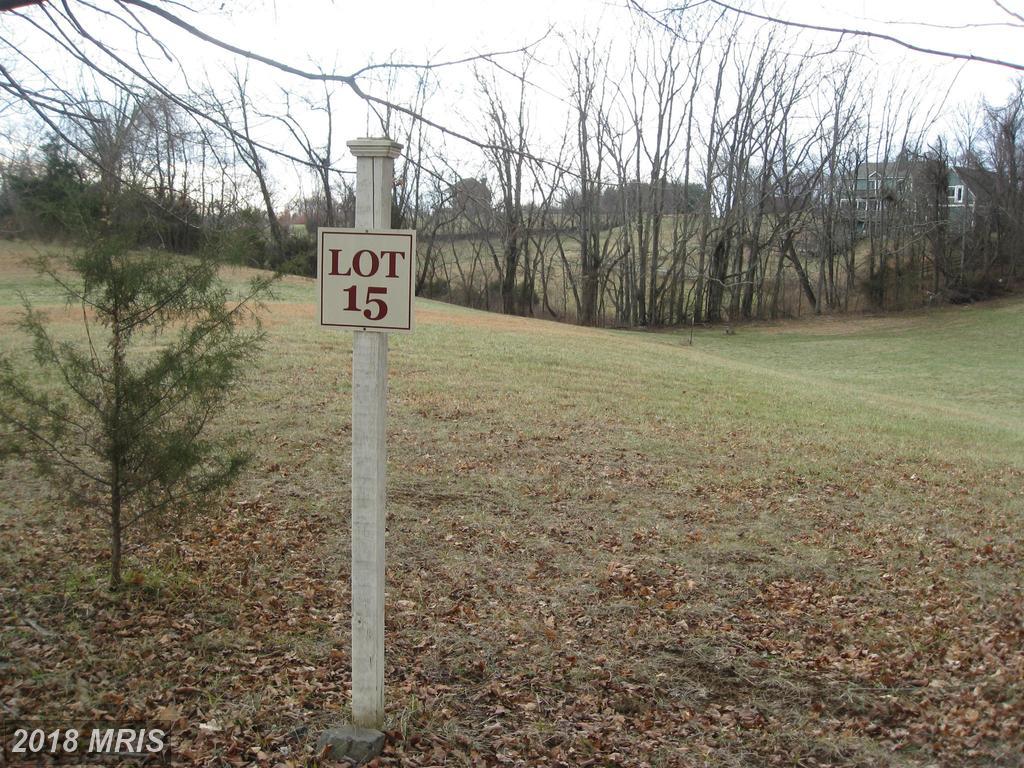 41359 Common House Lane - Photo 1
