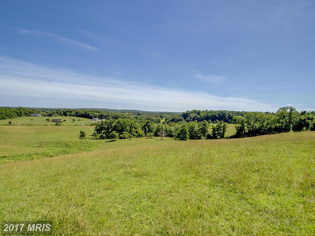 43660 Spinks Ferry Road - Photo 1