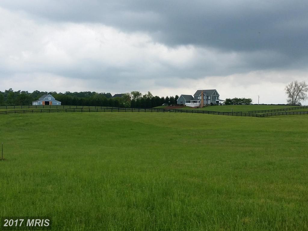 42981 Culps Hill Lane - Photo 1