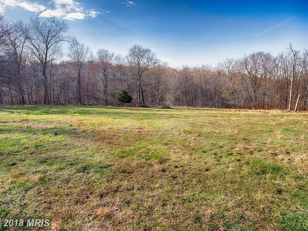 Wild Goose Lane - Photo 1