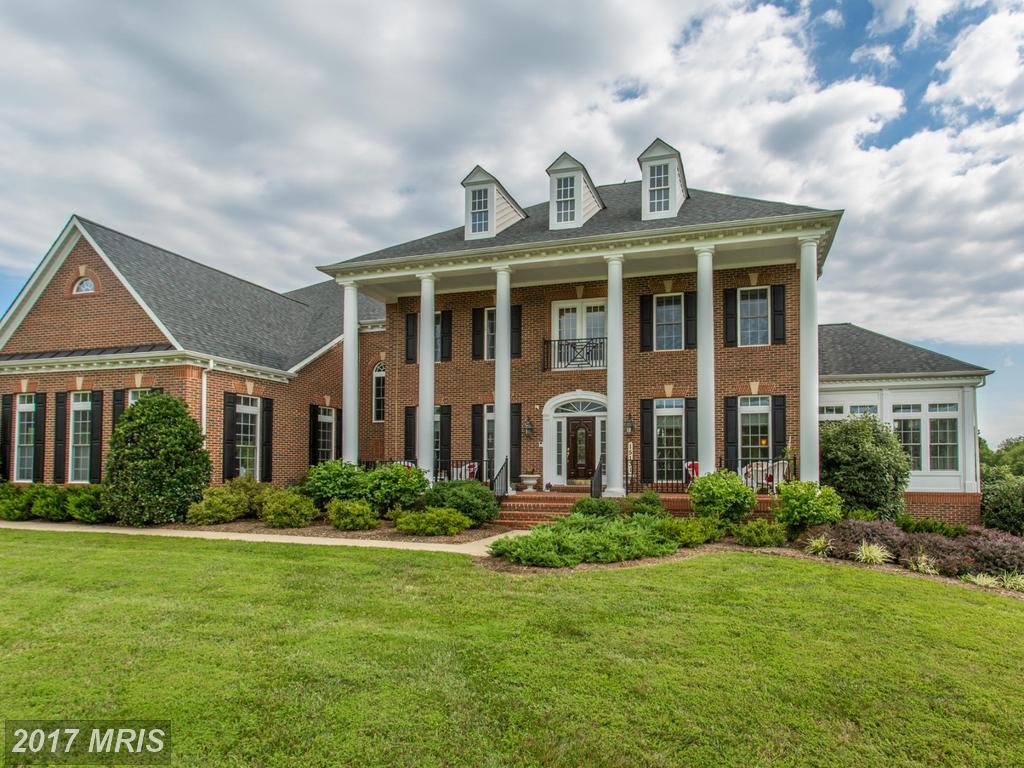 15131 Ganley Road - Photo 1
