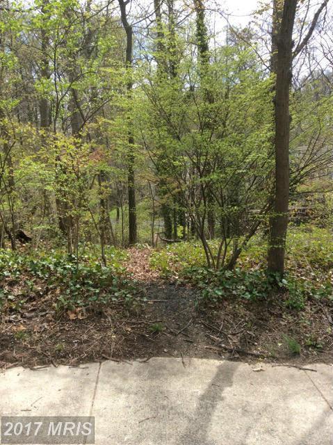 3324 Plyers Mill Road - Photo 1