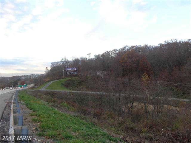 1 Old Cheat Road - Photo 1