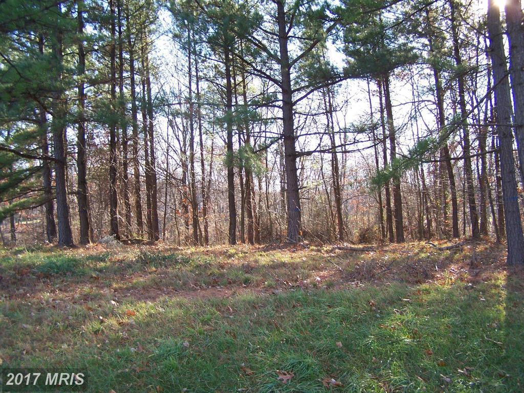 Fairview Oaks Lane - Photo 1