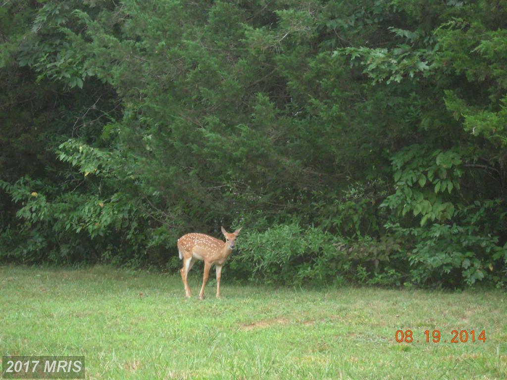 3200 Lakeview Parkway - Photo 1