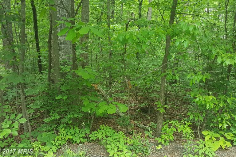 112 Tall Pines Avenue - Photo 1