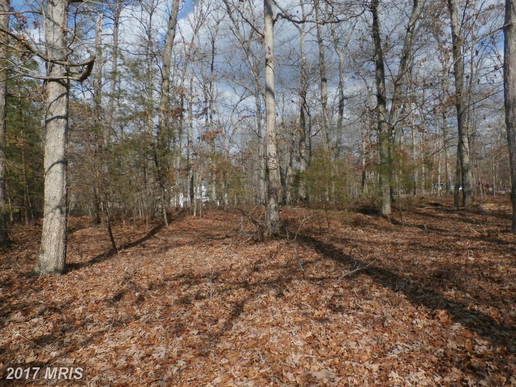 Old Plank Road - Photo 1