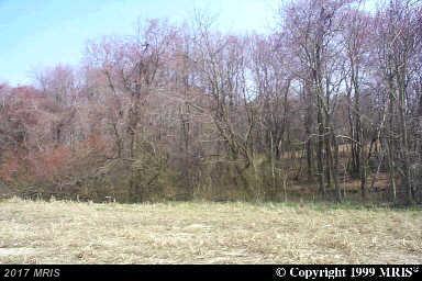 Aquasco Road - Photo 1