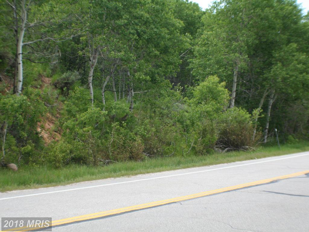 11001 Good Luck Road - Photo 1