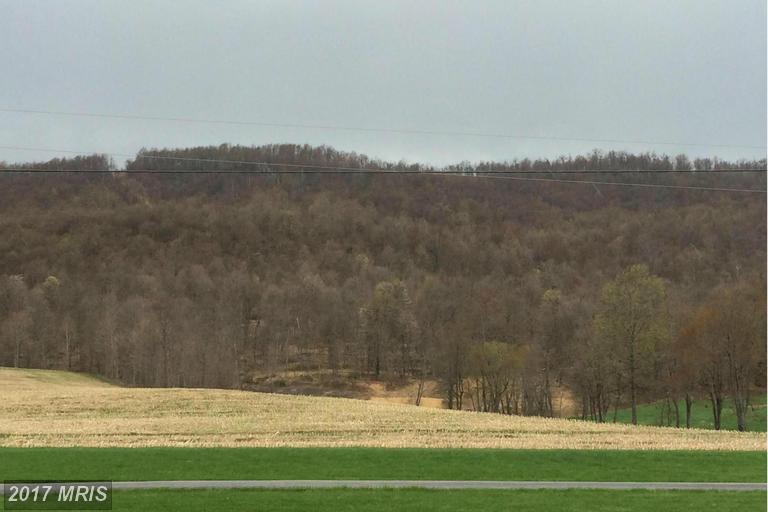 7125 Horse Valley Road - Photo 1