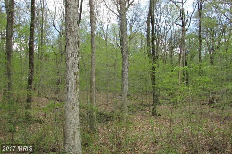 Dulin Clark Road - Photo 1