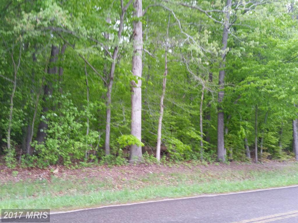320 Anderson Corner Road - Photo 1