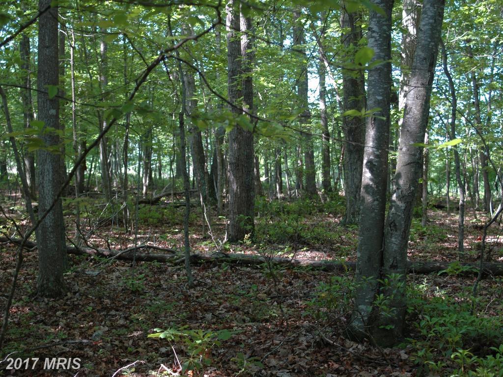 Rollins Ford Road - Photo 1