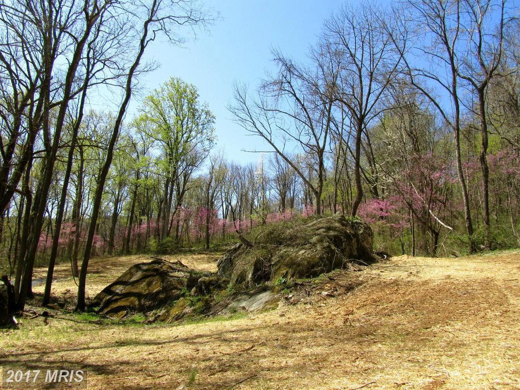 Old Browntown Lane - Photo 1