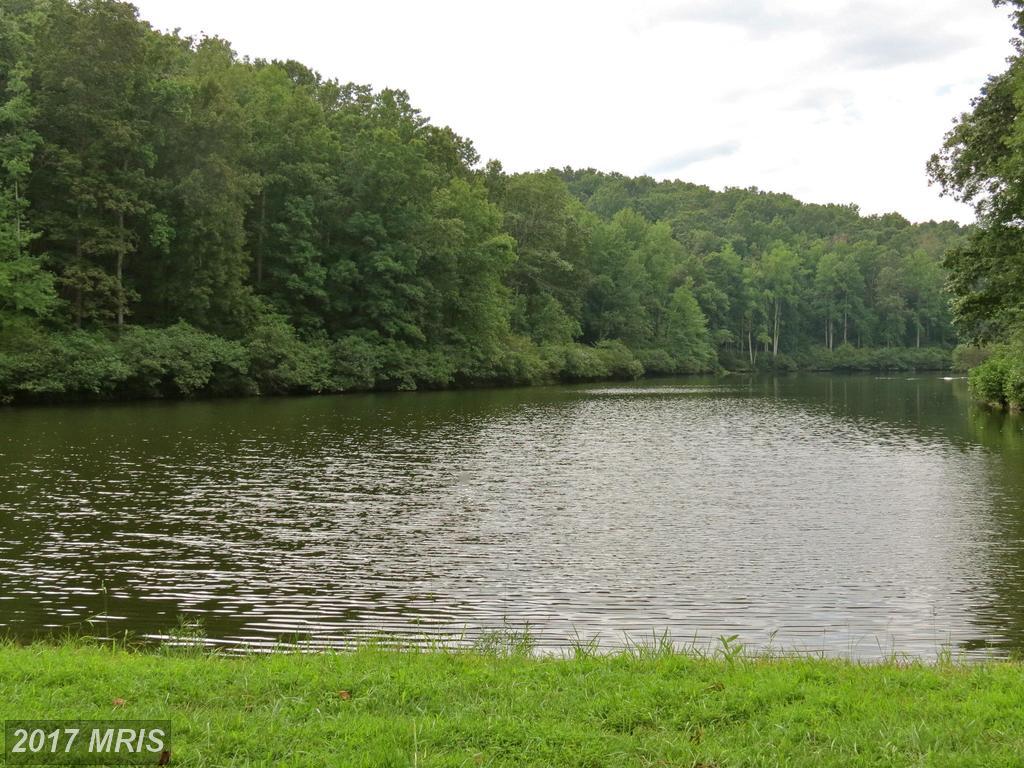 Margies Mountain Lane - Photo 1