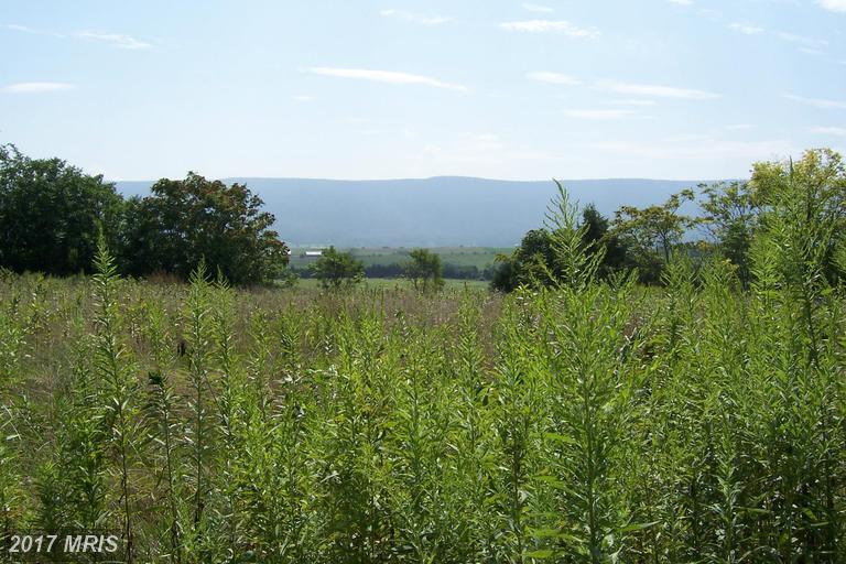 South Middle Road - Photo 1