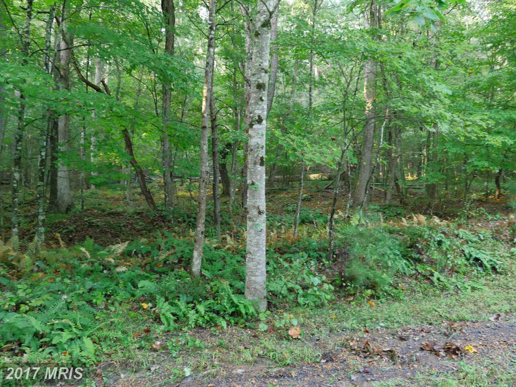 Beaver Road - Photo 1