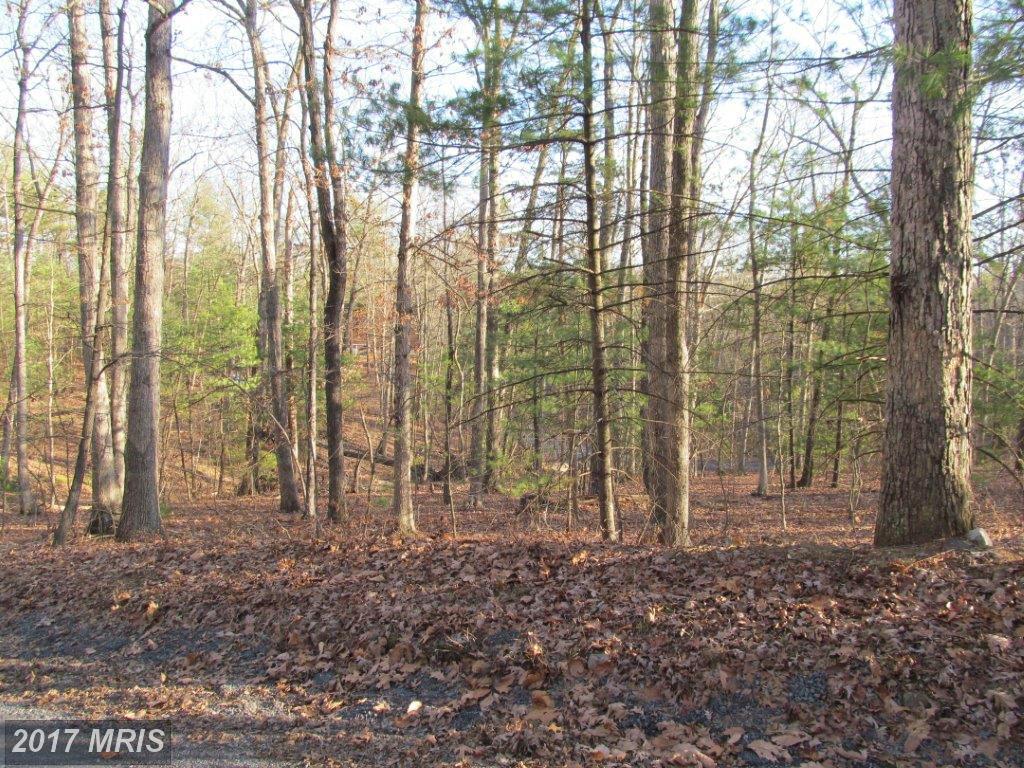 0 Sycamore Road - Photo 1