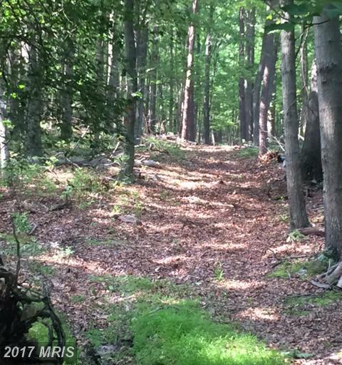 Not On File, Unknown Va - Photo 1