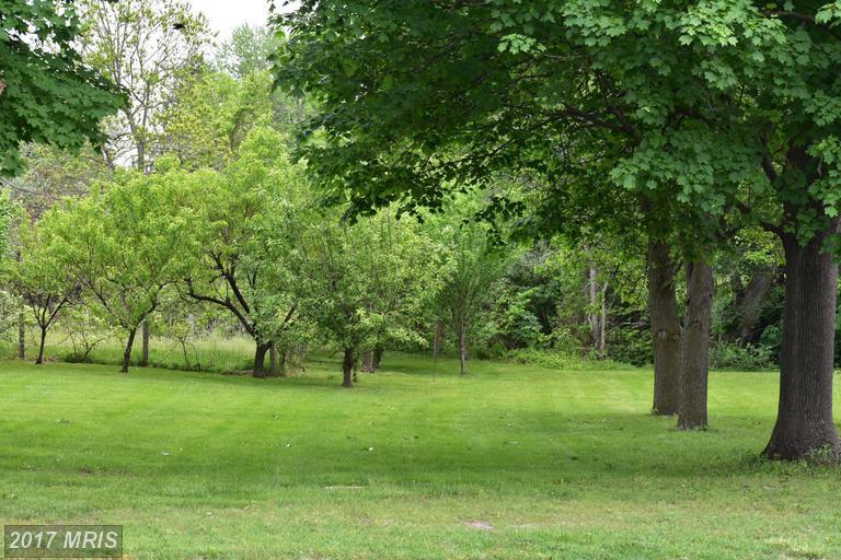 Stover Avenue - Photo 1