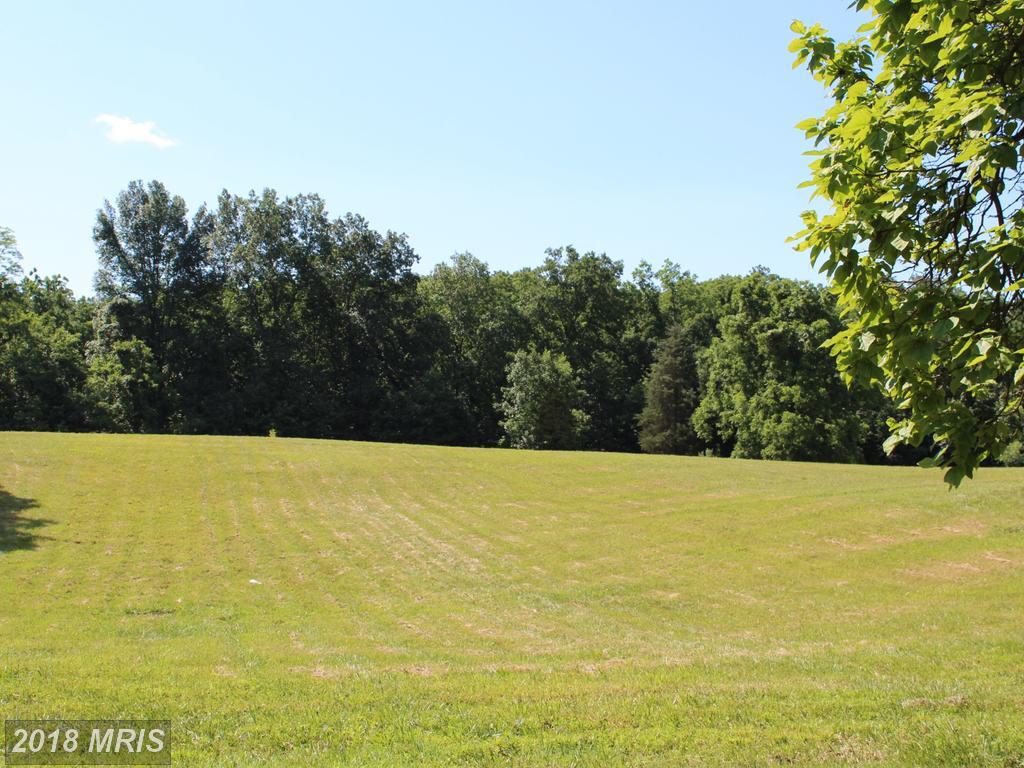 0 Ox Road - Photo 1