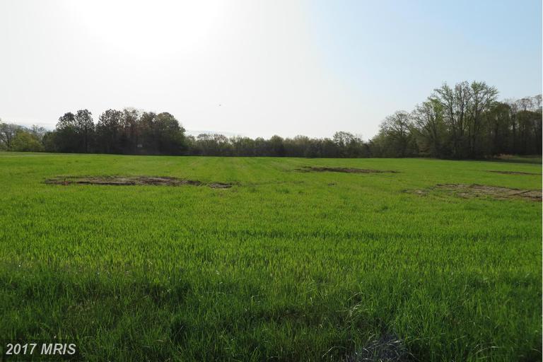 Bushwood City Road - Photo 1